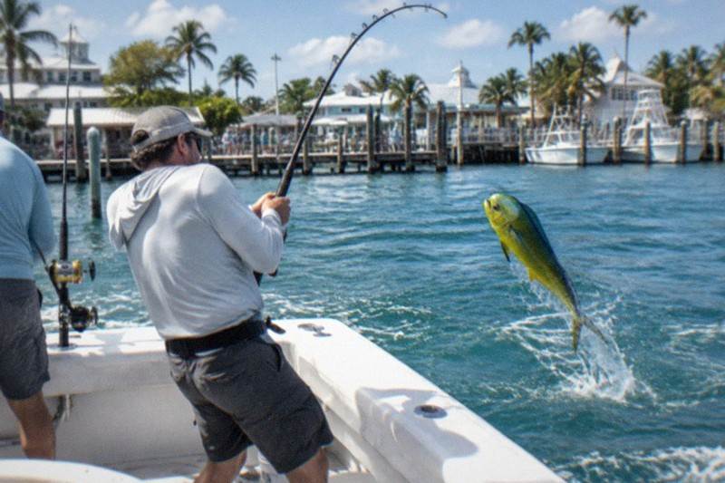 4-Hour Shared Offshore, Max 6