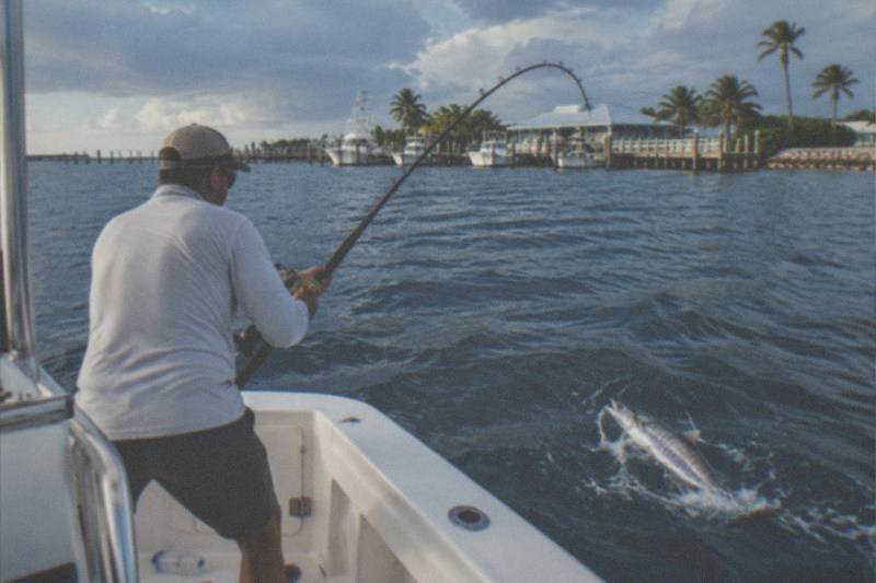 6-Hour Shared Offshore, Max 6