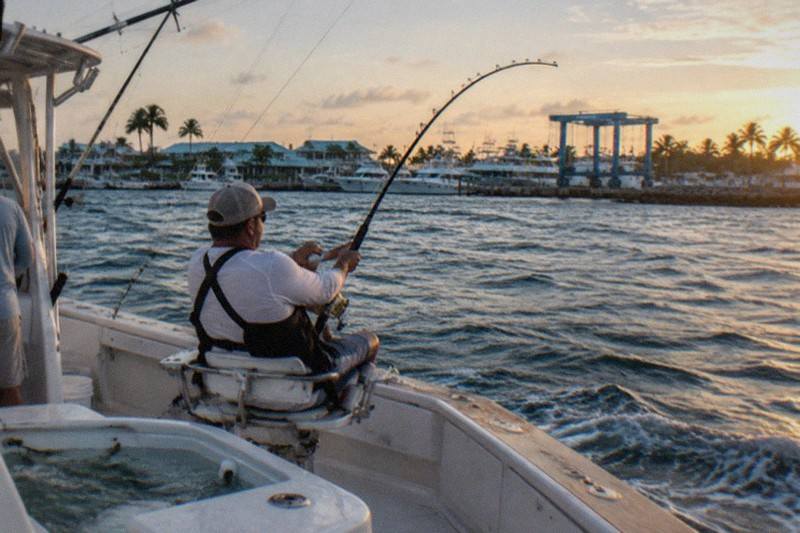 Private Sportfisher, Fighting Chair