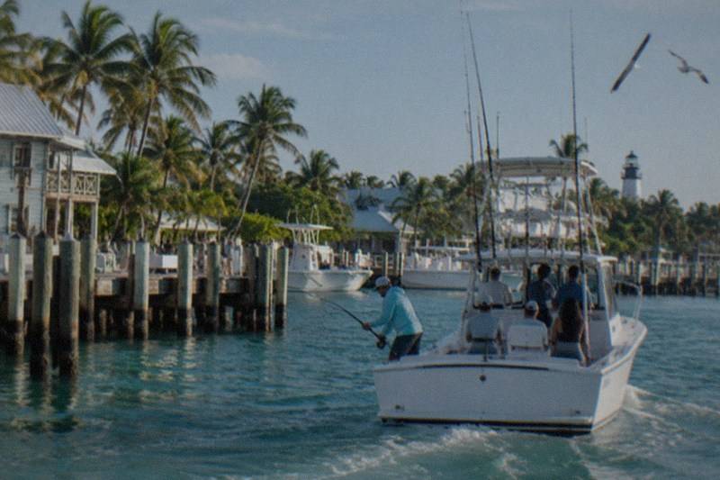 Private Charter, Up To 6 People