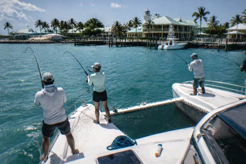 Shared Catamaran, Filleting Included