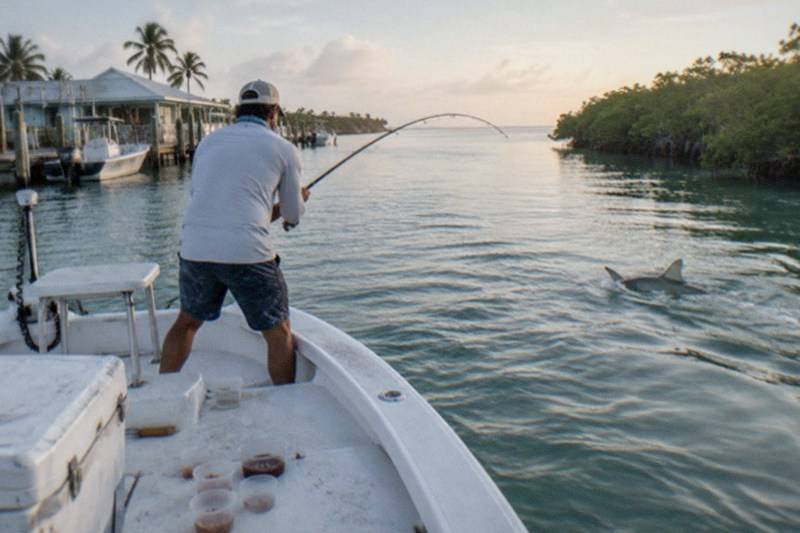 Private Bay Boat, Live Bait Included