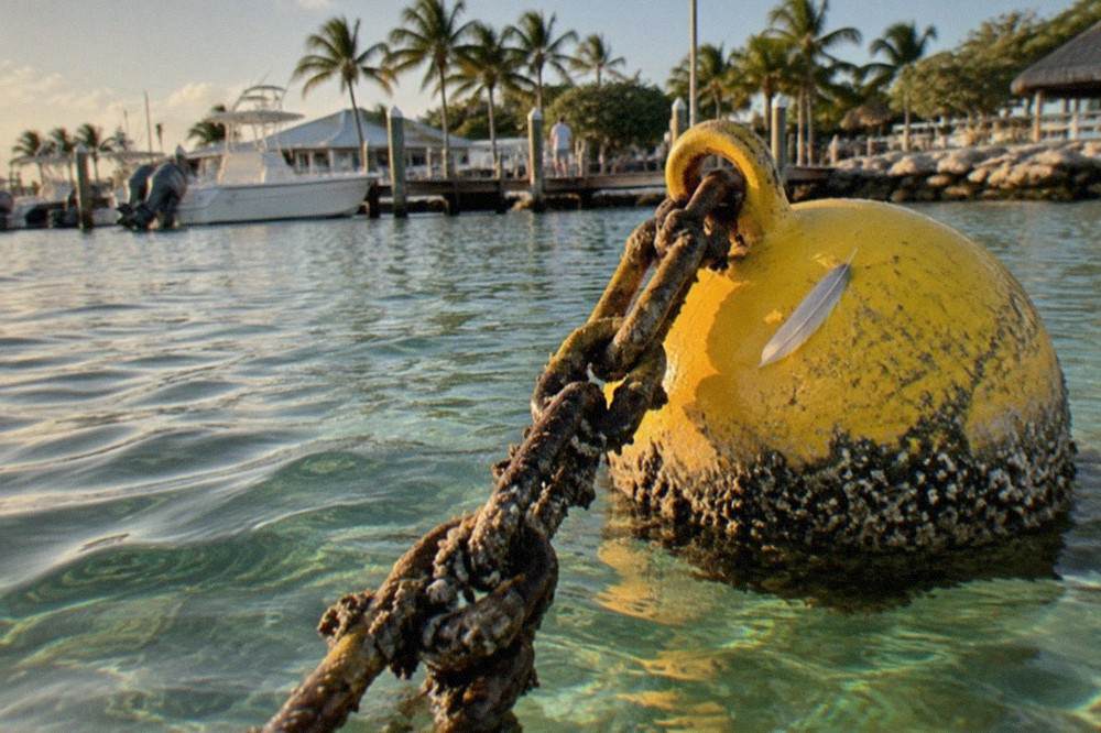 A yellow sanctuary zone buoy floating over clear shallow water near a coral reef