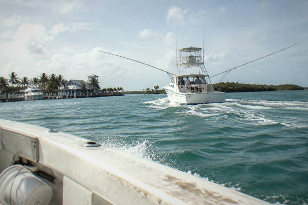 A classic white sportfisher with outriggers running offshore past a low green island under a wide sky.