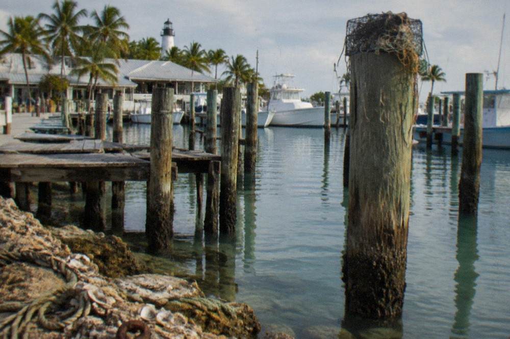 Weathered wooden pilings and an old dock on calm green water at a historic seaport
