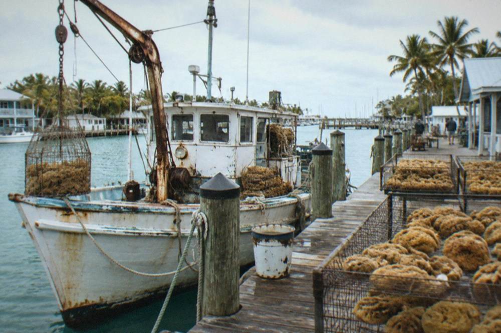 A vintage sponge fishing boat moored beside a wooden wharf in a historic Florida seaport