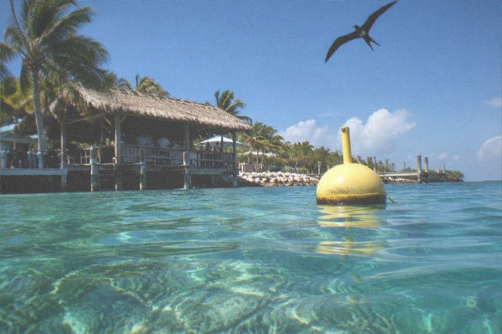 A yellow sanctuary boundary buoy floating over clear turquoise reef water in the Florida Keys
