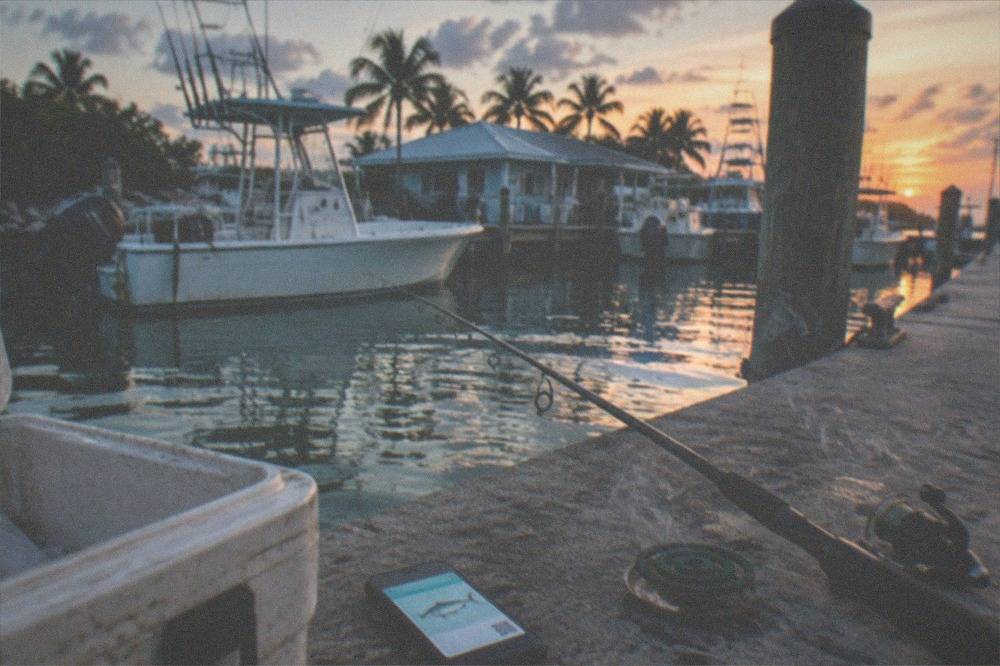 A Florida saltwater fishing license displayed on a smartphone screen next to a fishing rod on a dock