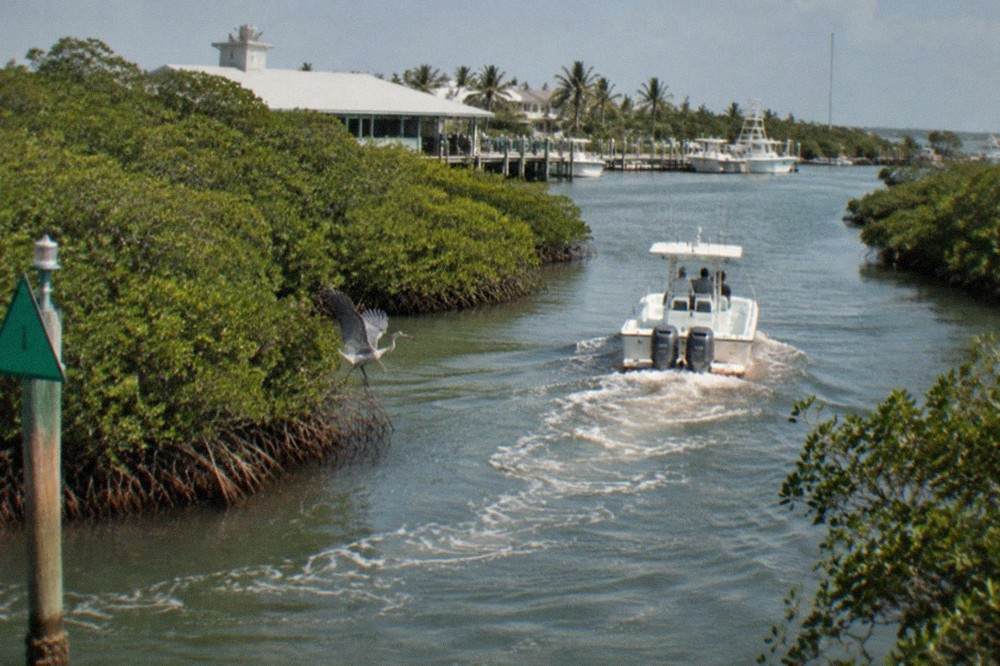 Charter fishing boat cruising past mangrove islands in the Key West backcountry