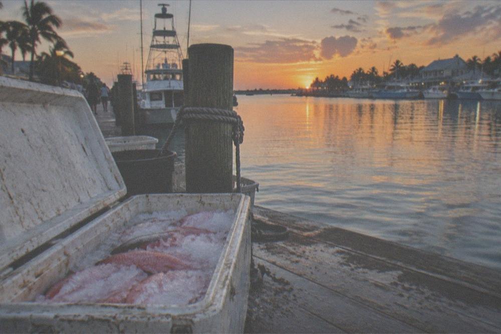 A cooler with fresh fillets packed in ice beside a dock at golden hour