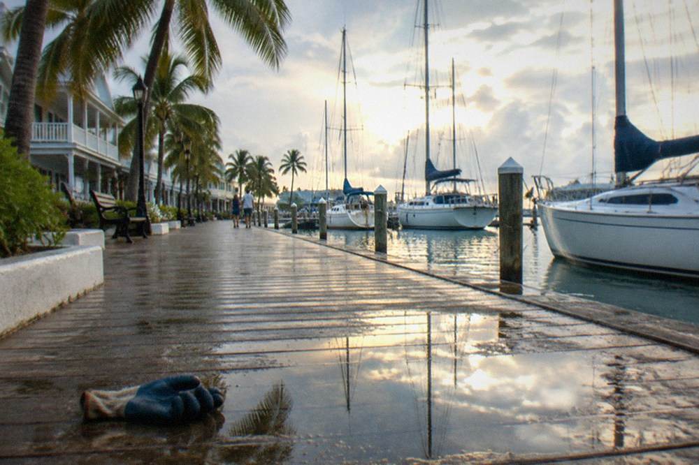 A wooden boardwalk along the Key West harbor lined with palm trees and moored sailboats