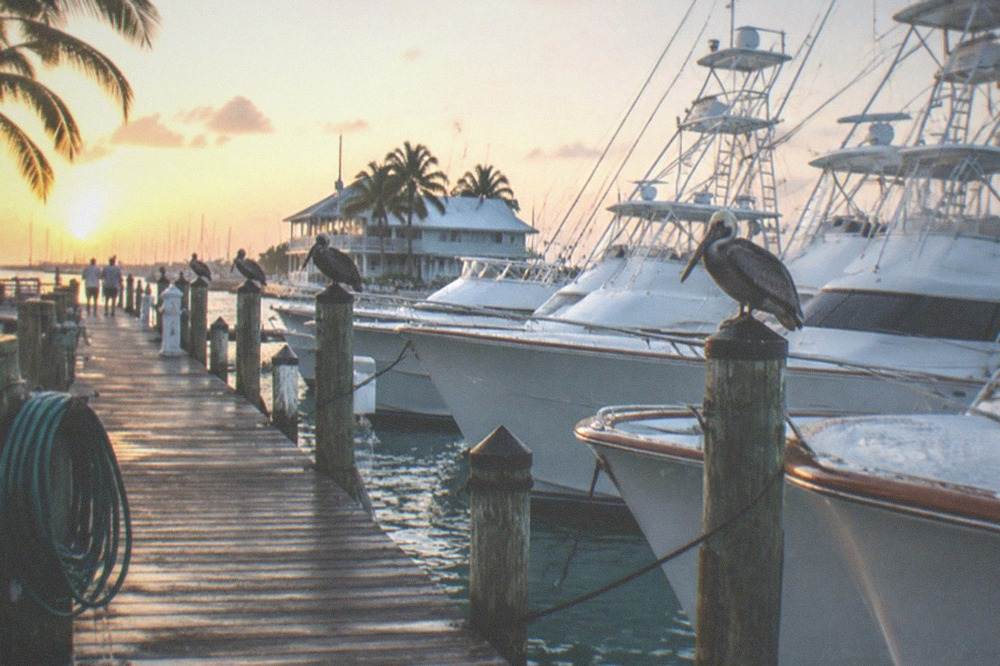 A row of charter fishing boats tied along a wooden dock at a marina in morning light