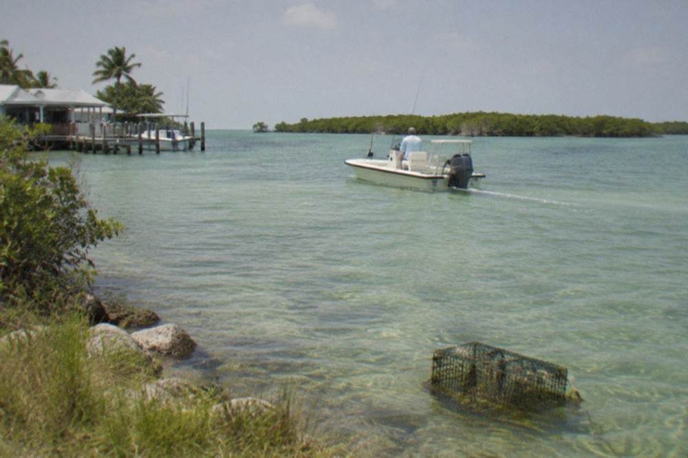 A shallow bay boat drifting over clear green flats water with mangrove islands on the horizon