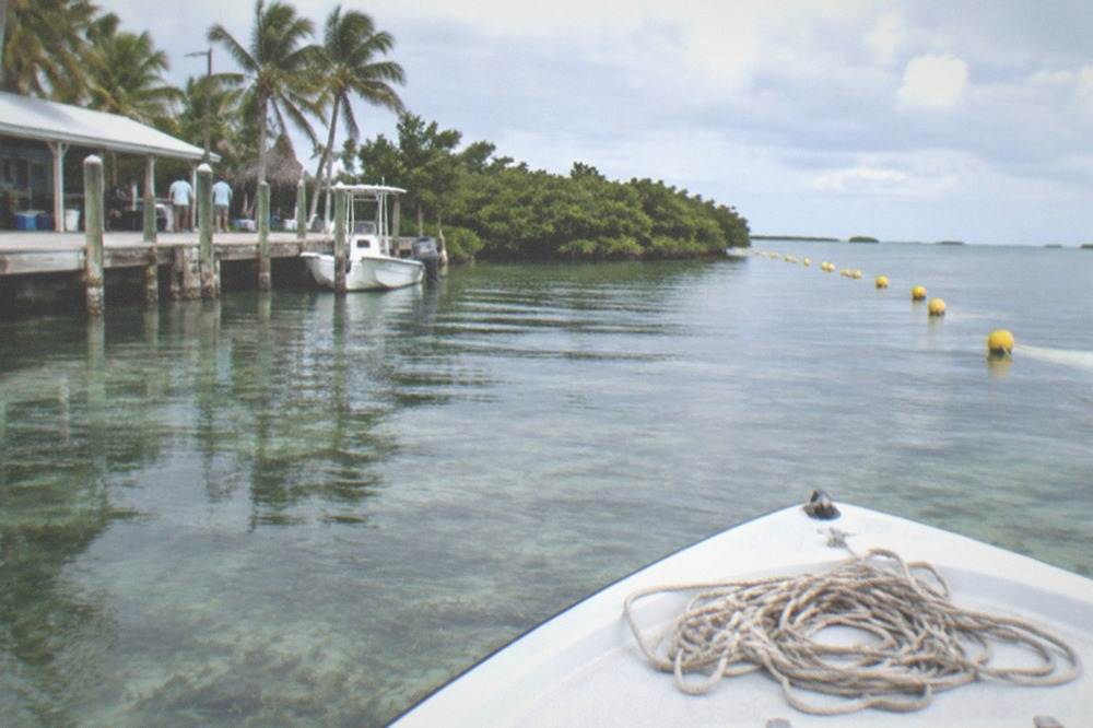 Yellow sanctuary boundary buoys marking a no-take zone in shallow Keys water