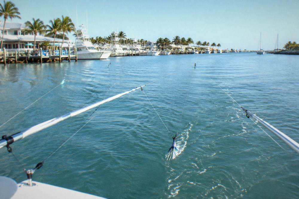 An offshore charter boat trolling with outriggers spread over calm blue water