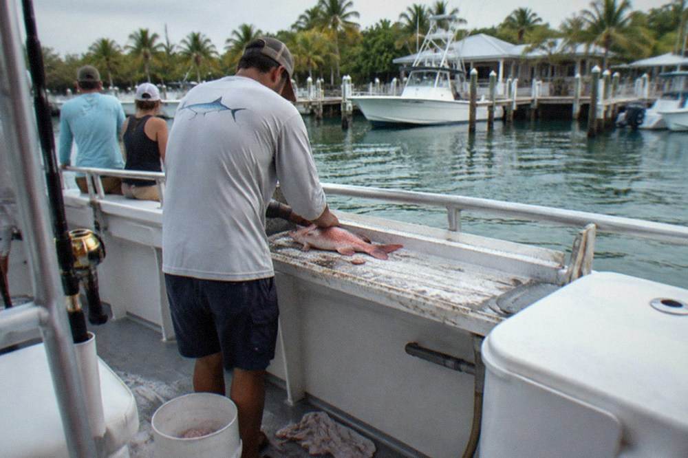 A deckhand on a party fishing boat measuring a snapper while anglers watch from the rail