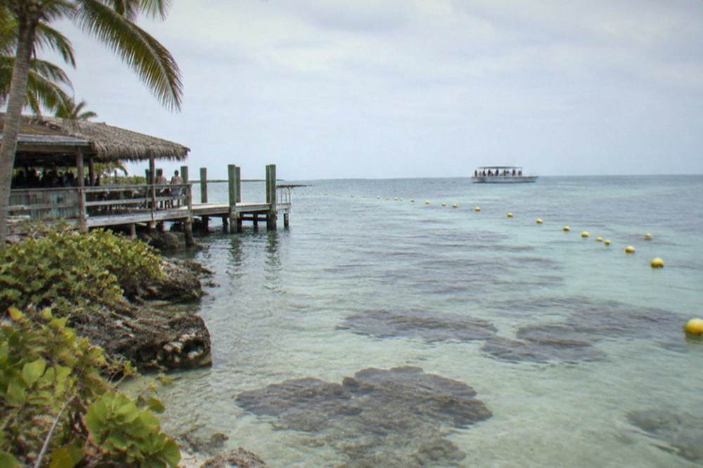 Yellow sanctuary buoys marking a marine zone over clear shallow reef water