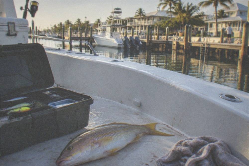 A yellowtail snapper held over a boat deck beside a tackle box