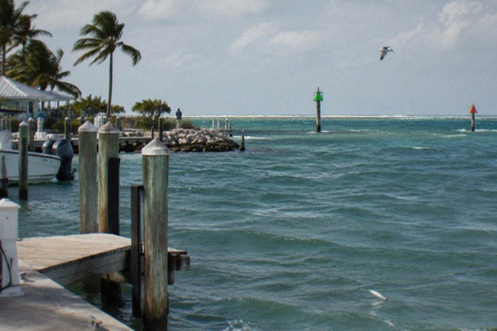Open blue water with gentle swells and scattered whitecaps near Key West