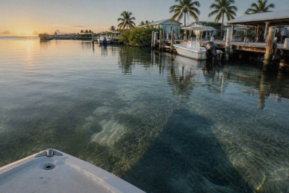 A calm backcountry flat at dawn with seagrass visible through clear shallow water