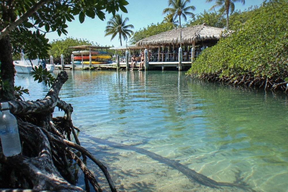 A shallow mangrove-lined channel in the Key West backcountry under a clear sky
