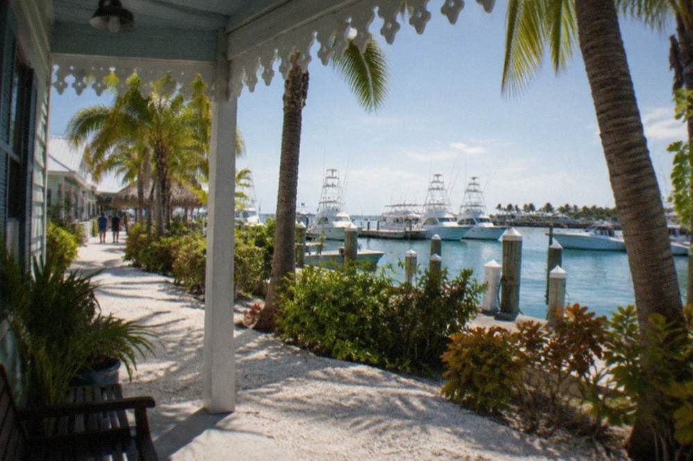 Charter boats docked in a small marina near historic Key West buildings